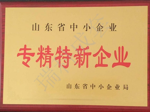 专业特新